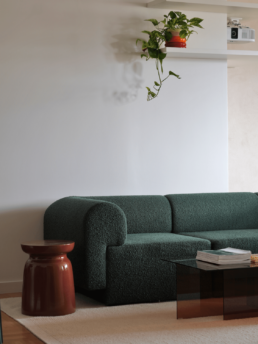 Projekt mieszkania na Żoliborzu - Projekt salonu